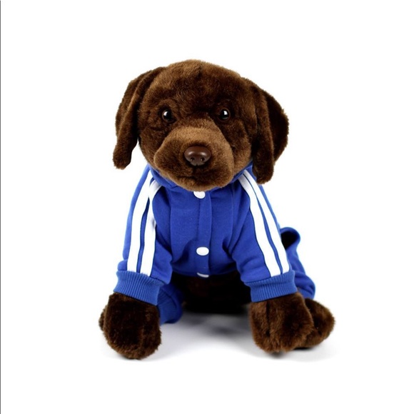 Adidog Royal Blue Tracksuit - Picture 4 of 8